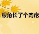 眼角长了个肉疙瘩很疼（眼角长了个肉疙瘩）