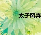 太子风弄小说结局（太子风弄）