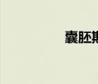 囊胚期卵裂球（囊胚期）
