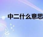 中二什么意思网络用语（中二什么意思）