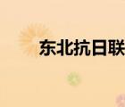 东北抗日联军女英雄（抗日女英雄）