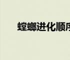 螳螂进化顺序及打野（螳螂进化顺序）