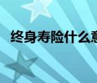 终身寿险什么意思（大专院校是什么意思）