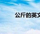 公斤的英文是kg吗（公斤的英文）