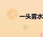 一头雾水的近义词（一头雾水）