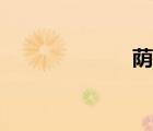 荫凉读音（荫凉）
