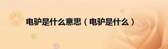 电驴是什么意思（电驴是什么）