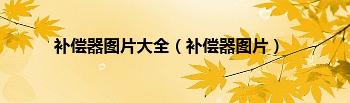 补偿器图片大全（补偿器图片）