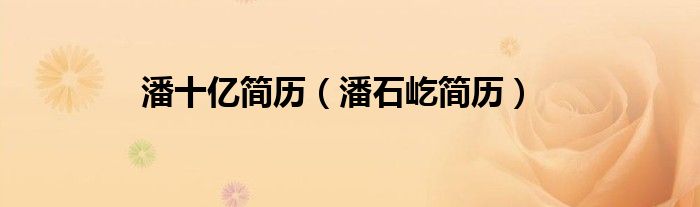 潘十亿简历（潘石屹简历）