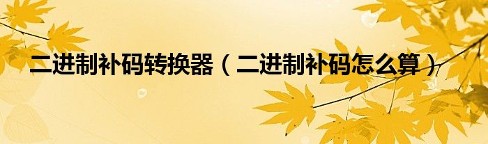 二进制补码转换器（二进制补码怎么算）