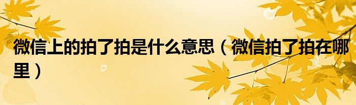微信上的拍了拍是什么意思（微信拍了拍在哪里）