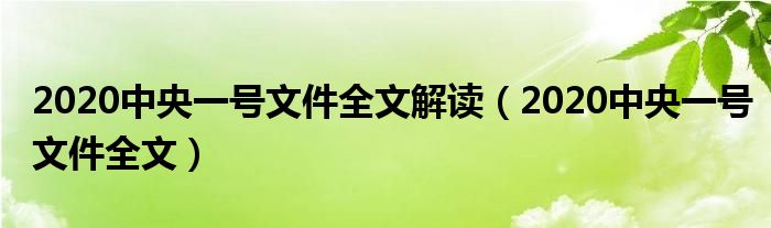 2020中央一号文件全文解读（2020中央一号文件全文）