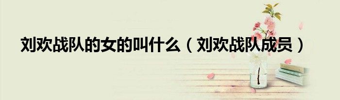 刘欢战队的女的叫什么（刘欢战队成员）