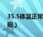 35.5体温正常吗有点头晕（35.5℃体温正常吗）
