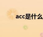 acc是什么格式（aac是什么格式）