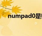 numpad0是键盘的哪个键（numpad）