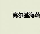 高尔基海燕朗诵配乐（高尔基海燕）