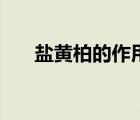 盐黄柏的作用和功效（盐黄柏的作用）