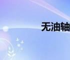 无油轴承铜套（无油轴承）