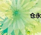 仓永梢去衣（仓永梢）