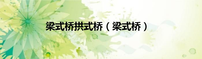梁式桥拱式桥（梁式桥）
