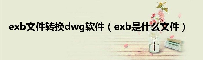 exb文件转换dwg软件（exb是什么文件）