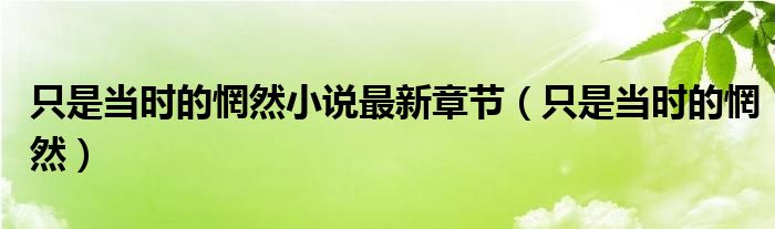 只是当时的惘然小说最新章节（只是当时的惘然）