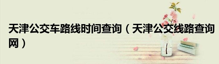 天津公交车路线时间查询（天津公交线路查询网）