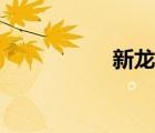 新龙族小说（新龙族）