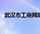 武汉市工商网站（武汉工商政务服务中心）