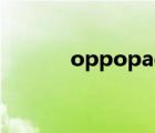 oppopadair参数（i pad air）