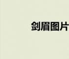 剑眉图片女生明星（剑眉图片）