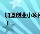加盟创业小项目有哪些回报（加盟创业小项目）