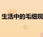 生活中的毛细现象原理（生活中的毛细现象）