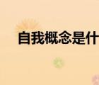 自我概念是什么意思（概念是什么意思）