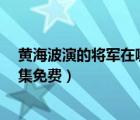 黄海波演的将军在哪个平台可以看?（黄海波将军电视剧全集免费）