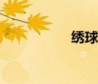 绣球花朵（绣球花吧）