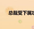 总裁受下属攻耽美文（总裁受下属攻）