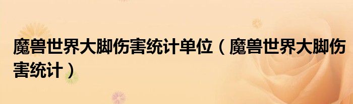 魔兽世界大脚伤害统计单位（魔兽世界大脚伤害统计）