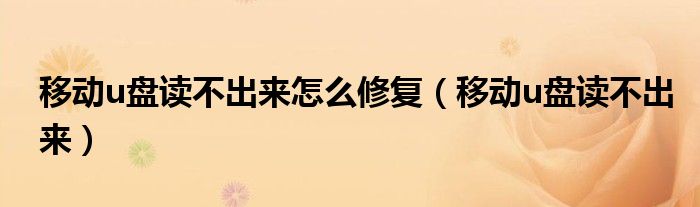 移动u盘读不出来怎么修复（移动u盘读不出来）