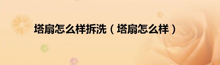 塔扇怎么样拆洗（塔扇怎么样）