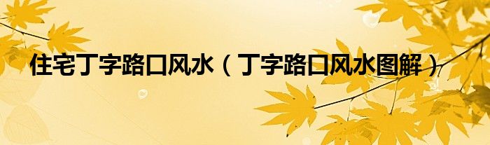 住宅丁字路口风水（丁字路口风水图解）
