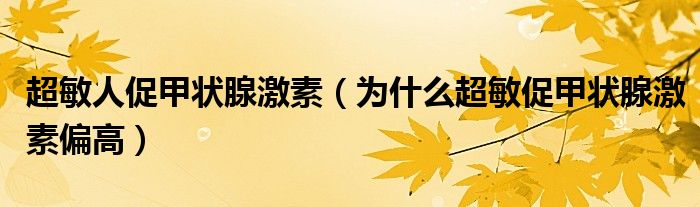 超敏人促甲状腺激素（为什么超敏促甲状腺激素偏高）