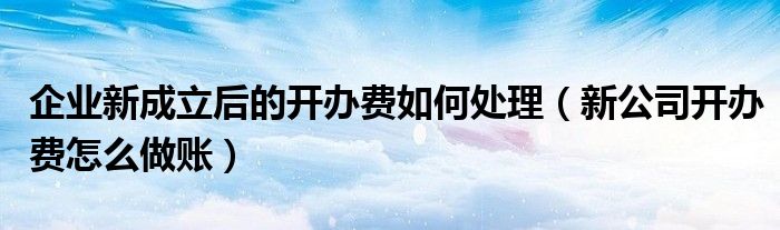 企业新成立后的开办费如何处理（新公司开办费怎么做账）