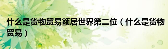 什么是货物贸易额居世界第二位（什么是货物贸易）