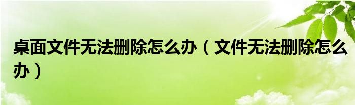 桌面文件无法删除怎么办（文件无法删除怎么办）