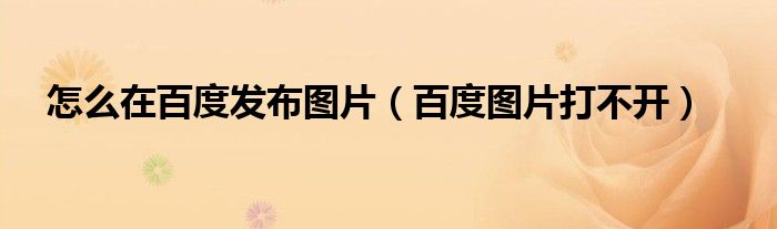 怎么在百度发布图片（百度图片打不开）