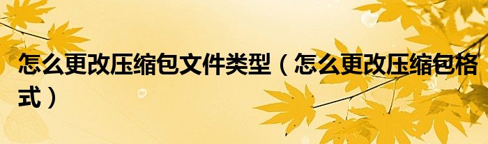 怎么更改压缩包文件类型（怎么更改压缩包格式）