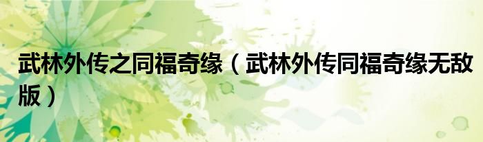 武林外传之同福奇缘（武林外传同福奇缘无敌版）