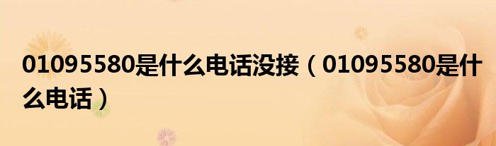 01095580是什么电话没接（01095580是什么电话）